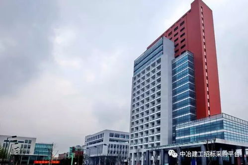 四冶柏芷山國際度假公園酒店商業(yè)街園林景觀工程勞務(wù)分包 綜合解析